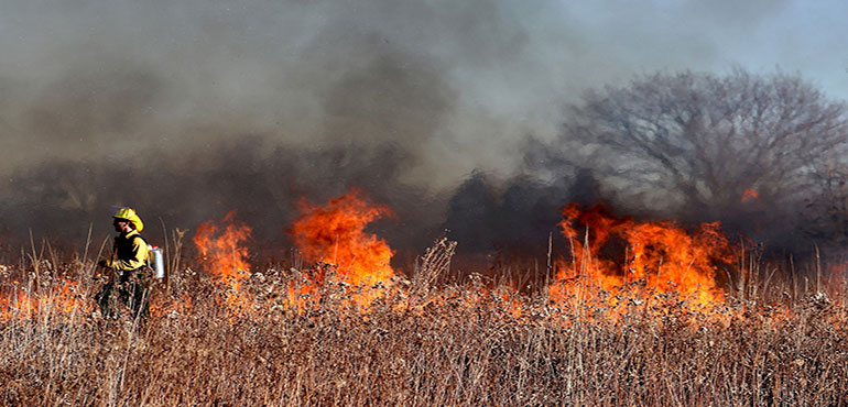Bug Fire Update A Wildfire is Happening, Now What? | WeatherBug | WeatherBug